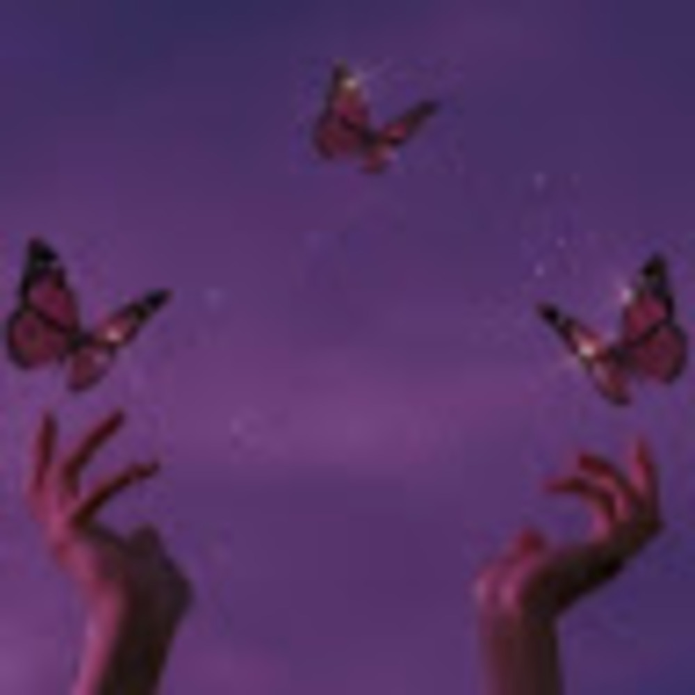 Meet your Posher, Sophie